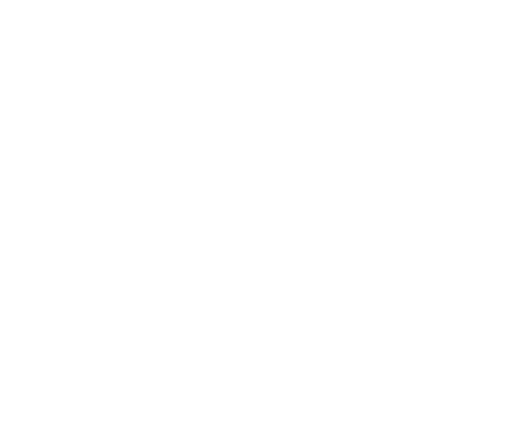 Tour 904- Transparent logo