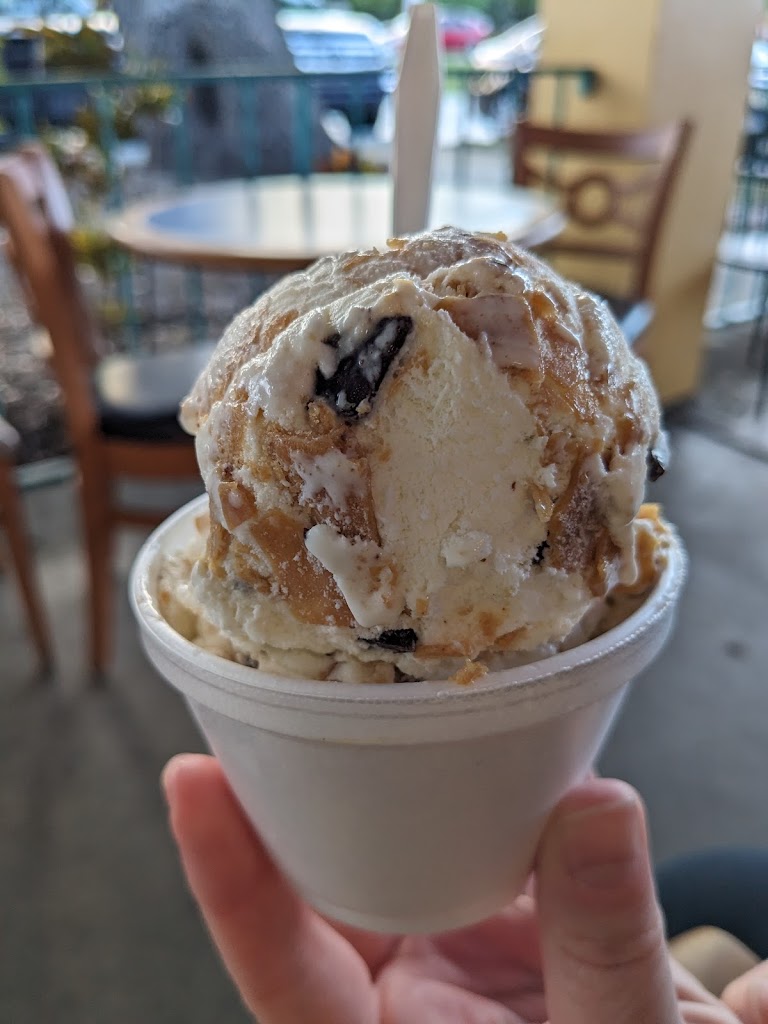 Cold Cow Peanut Butter Chocolate Chip in St, Augustine